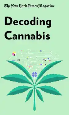 Audio Sample thumbnail