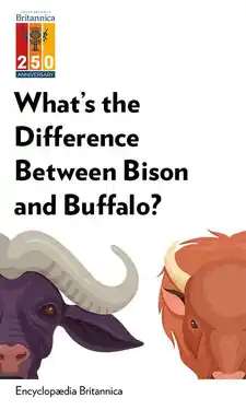 Audio Sample thumbnail