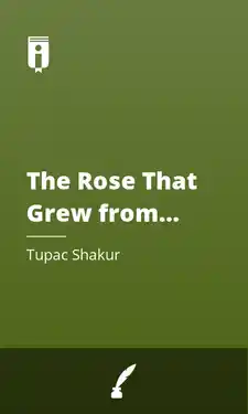 Audio Sample thumbnail