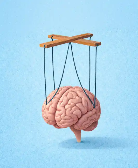 Book Cover for "Manufacturing Delusion"