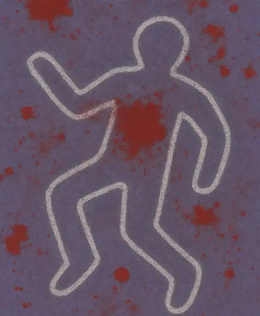 Book Cover for "Chasing Evil"